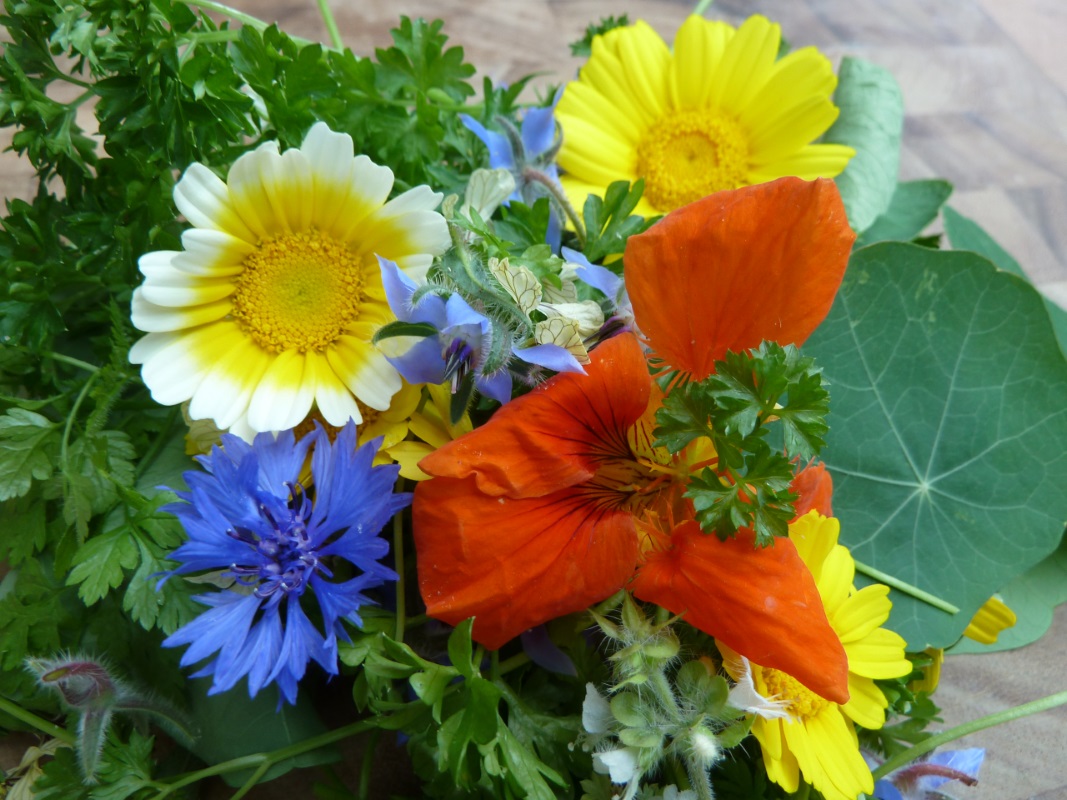 Edible Flowers Beyond Decoration Utopia