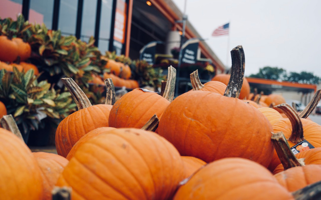 Is Pumpkin Skin Edible? Hokkaido, Butternut Squash, and More Utopia