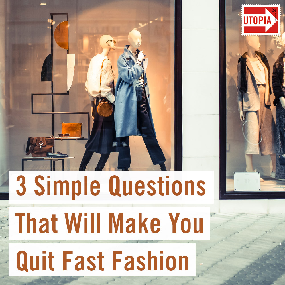 research questions on fast fashion