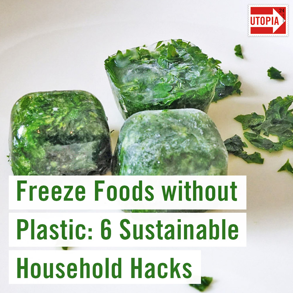 7 Smart Household Hacks For Freezing Foods Without Plastic - Utopia