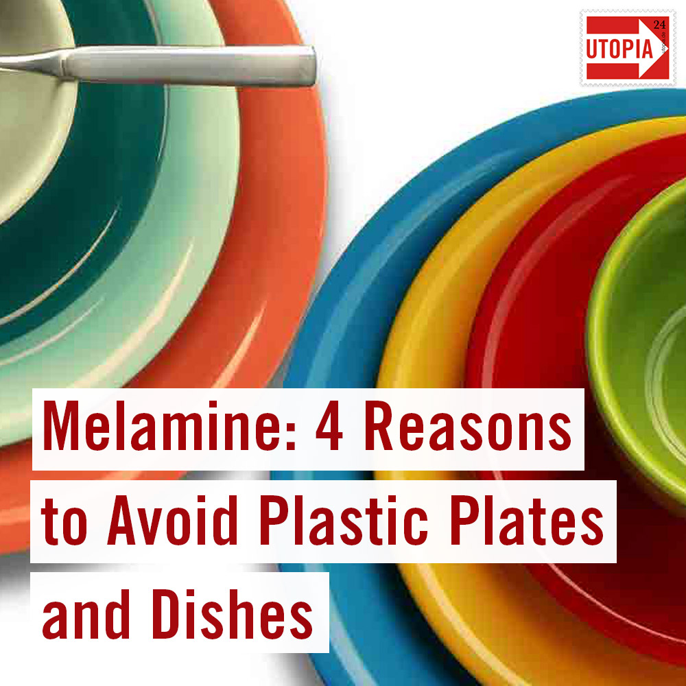 What Is Melamine & What Does It Have To Do With Your Plastic Dinnerware ...