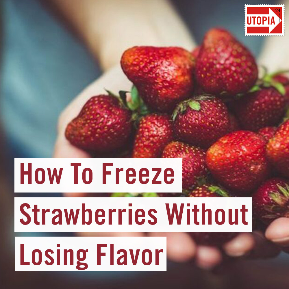 How To Freeze Strawberries Without Losing Flavor Utopia