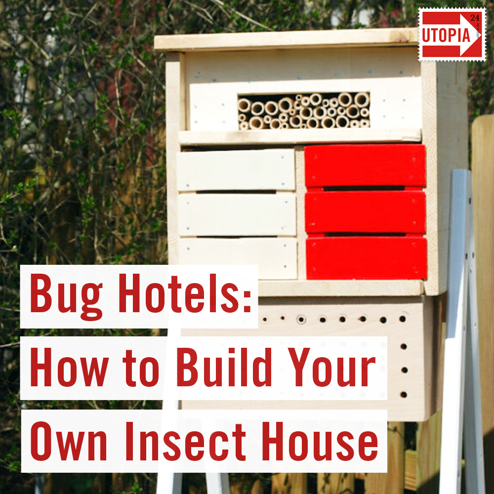 how to get rid of roaches in apartment home remedies