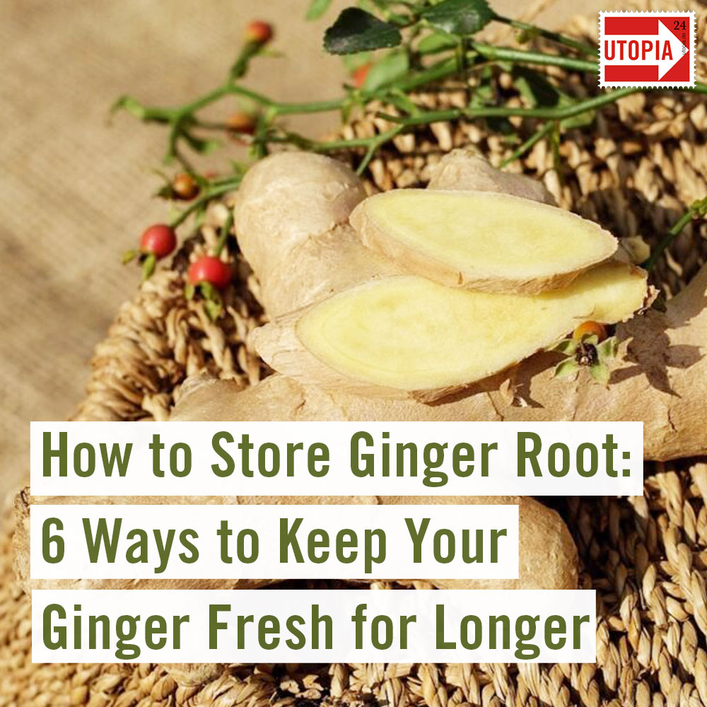 How to Store Ginger Root: 6 Ways to Keep Your Ginger Fresh for Long