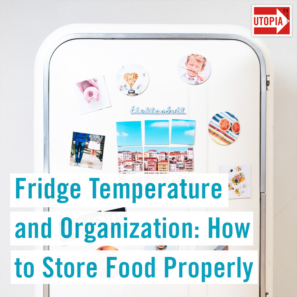 What Is The Ideal Temp Inside A Fridge at Dane Hallahan blog