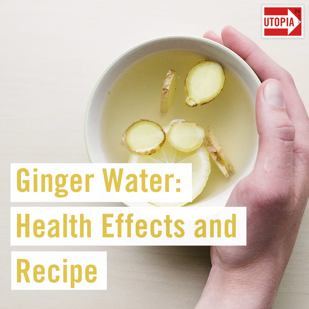 Ginger Water Health Effects and Recipe Utopia
