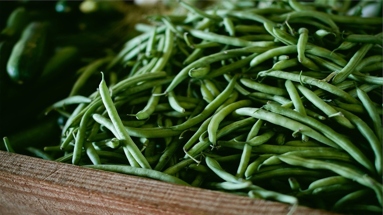 Freezing Fresh Green Beans What You Should Know Utopia