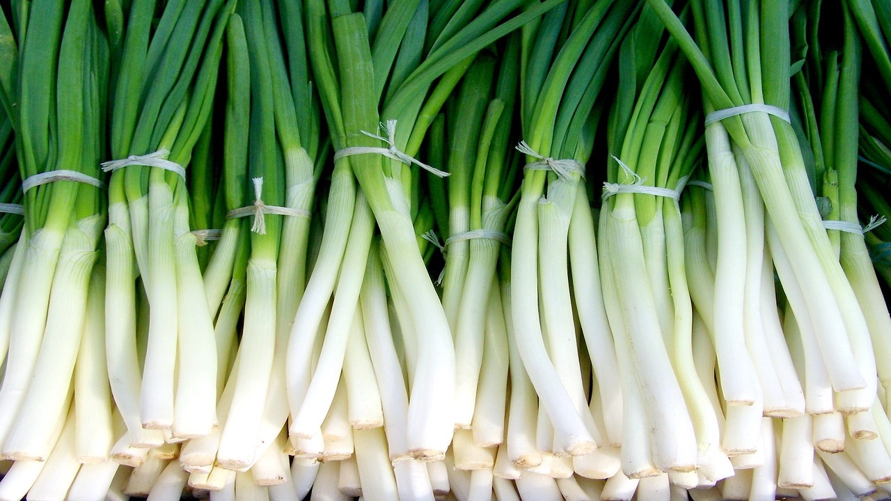 How to Store Green Onions: 3 Ways to Keep Them Fresh - Utopia