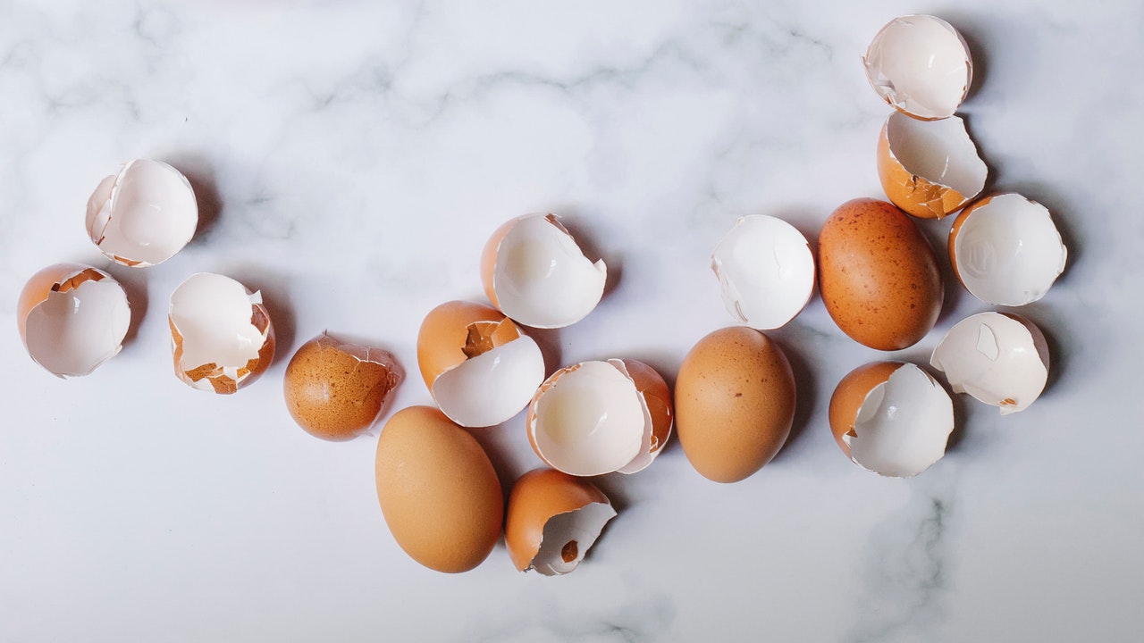 How to Use Eggshells as Fertilizer for Your Garden Plants Utopia