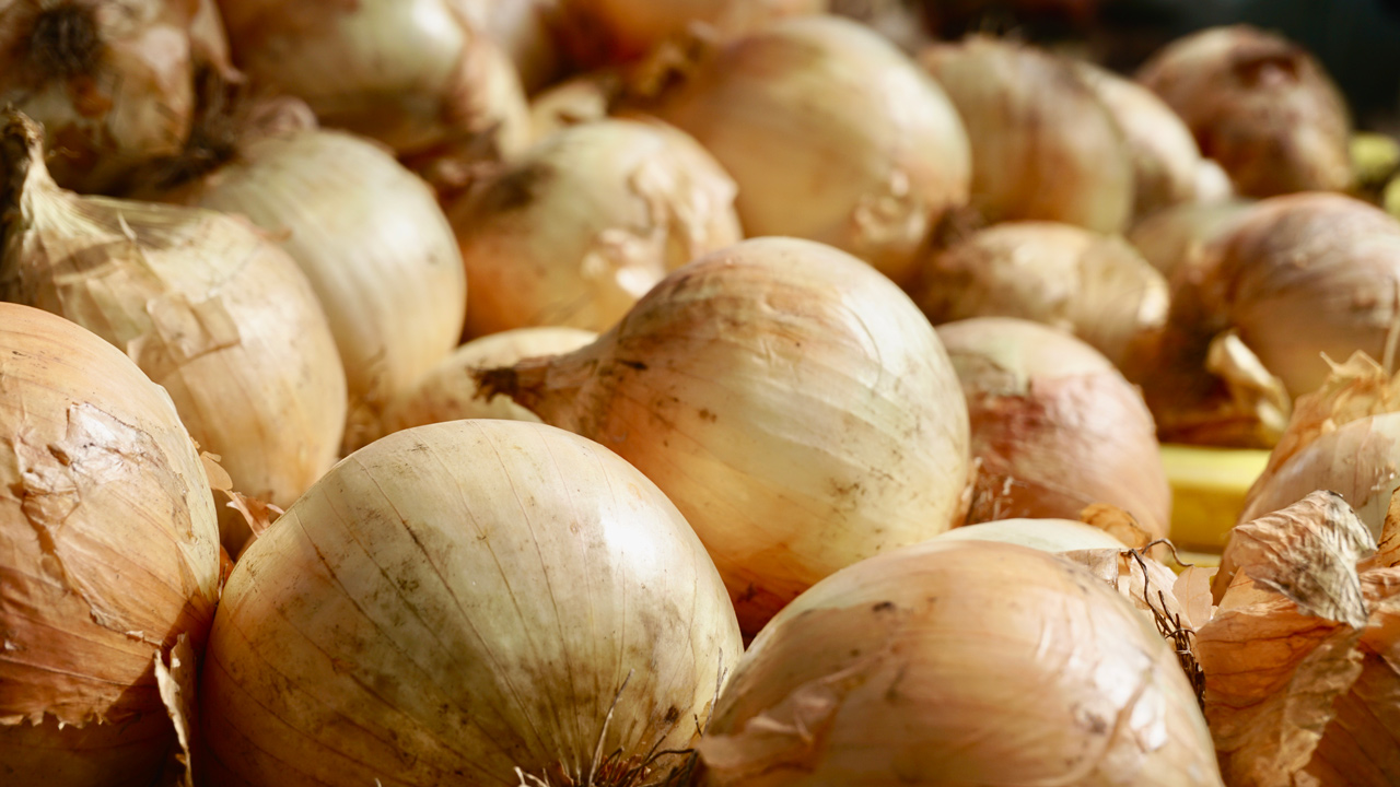 Put Onion Skins Back to Use: 5 Useful Tricks - Utopia