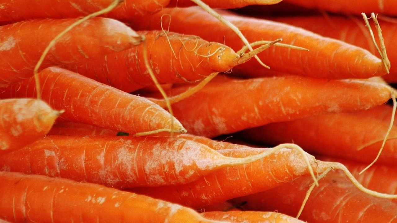 freezing-carrots-helpful-tips-and-tricks-utopia