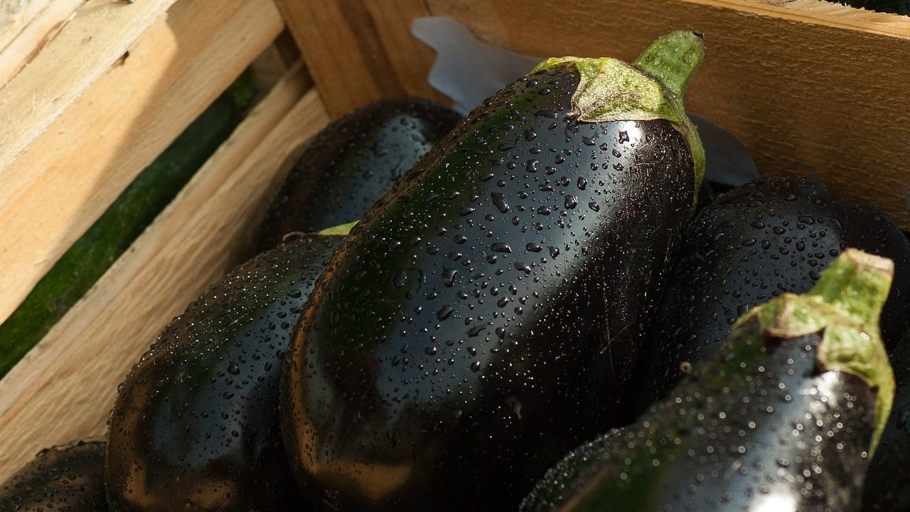 Here's How to Freeze Eggplant So It Lasts All Year