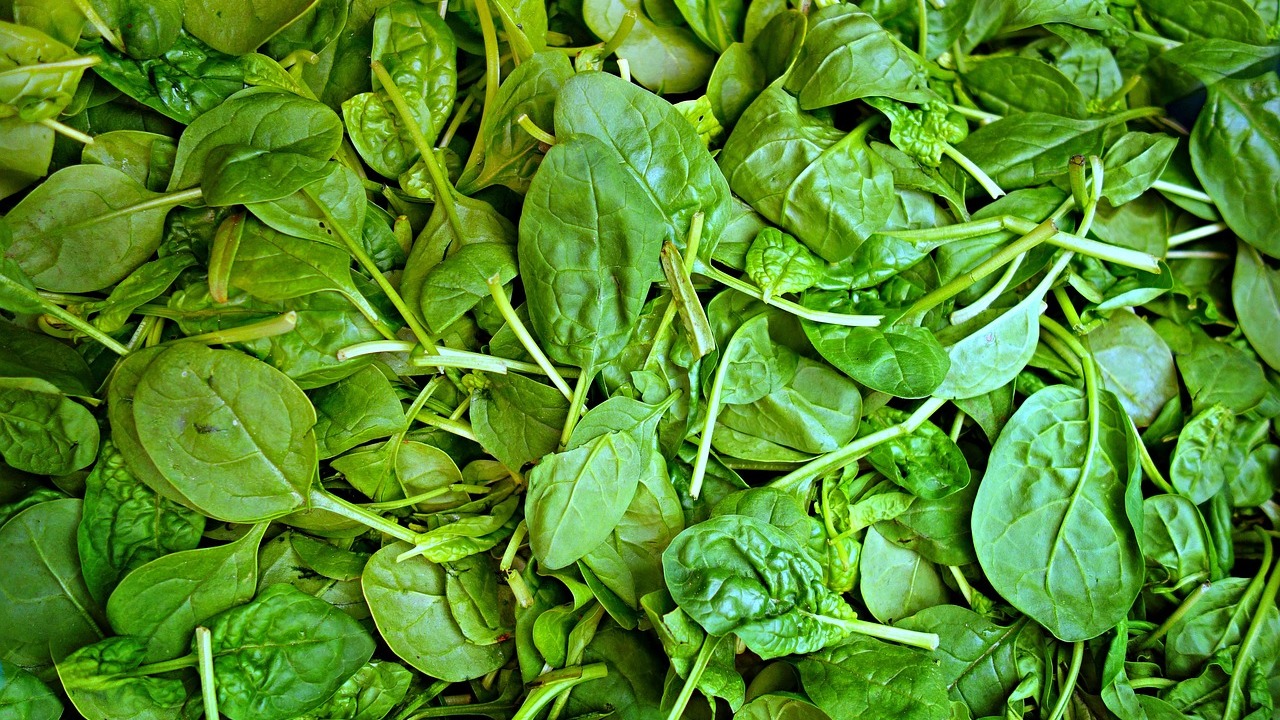 Spinach Health Benefits and Nutrition Facts Utopia