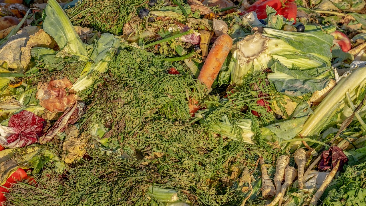 Why Your Compost Has Mold and How to Still Use It Utopia