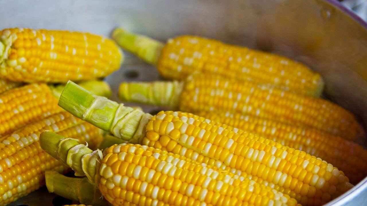 How to Use Corn Cobs, Silk and Husks - FoodPrint