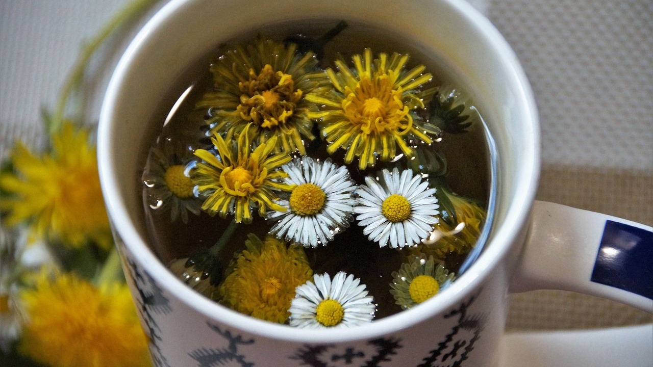 10 Coffee Substitutes That Are Tasty, Healthy, and Energizing Utopia