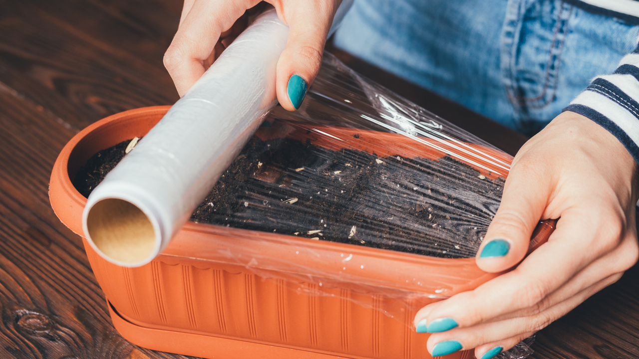 The 9 Best Plastic Wrap Alternatives Utopia