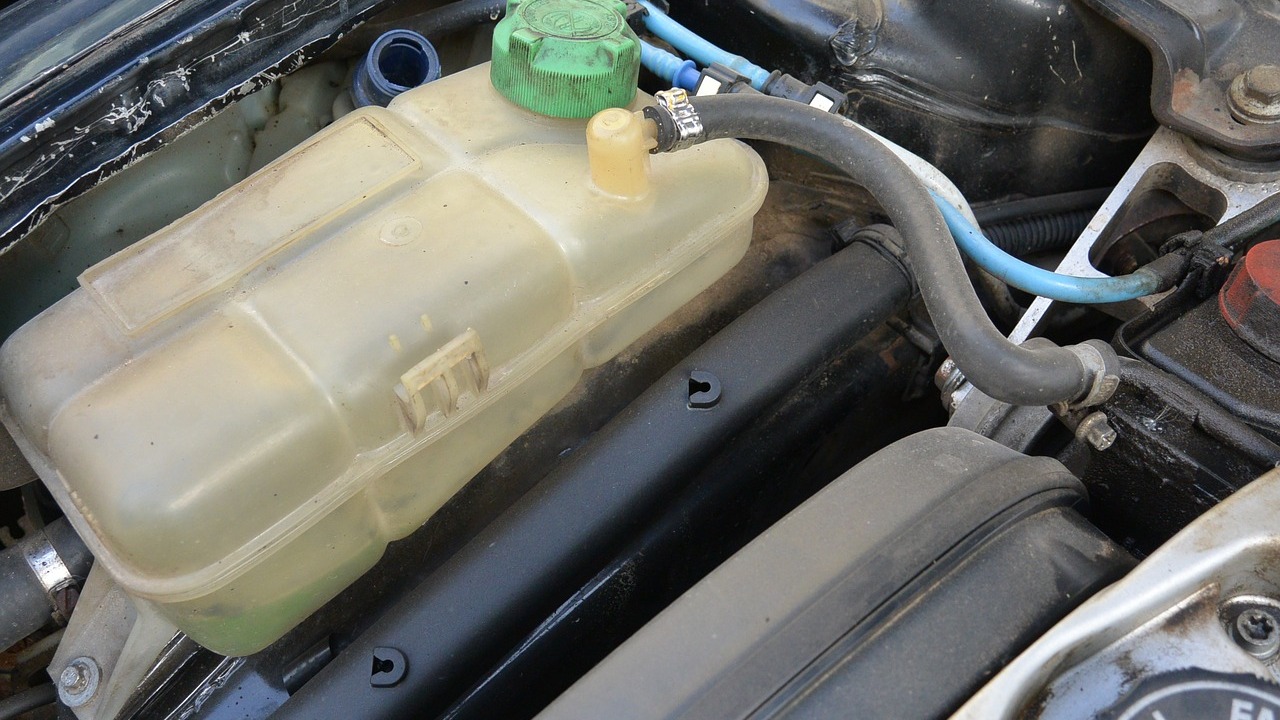 Antifreeze: How to Safely Dispose of It - Utopia