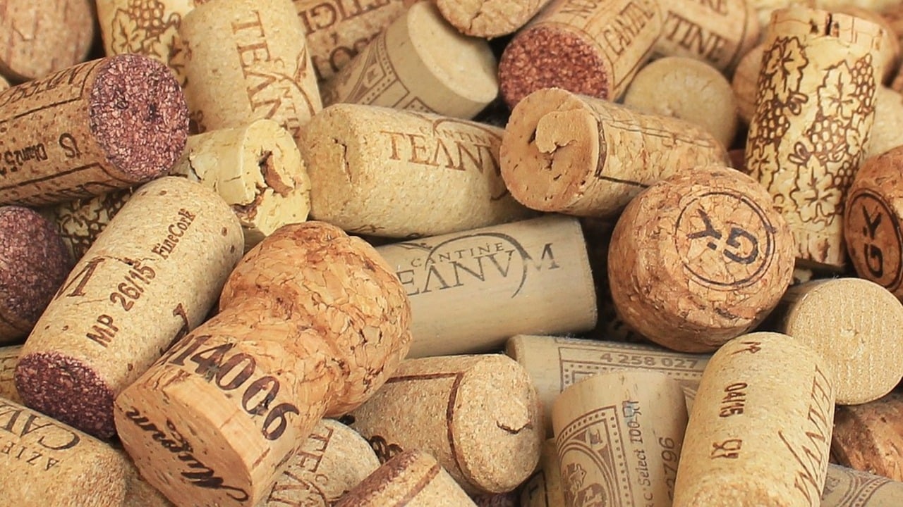 What Is Cork? FAQs & Sustainability Facts - Utopia