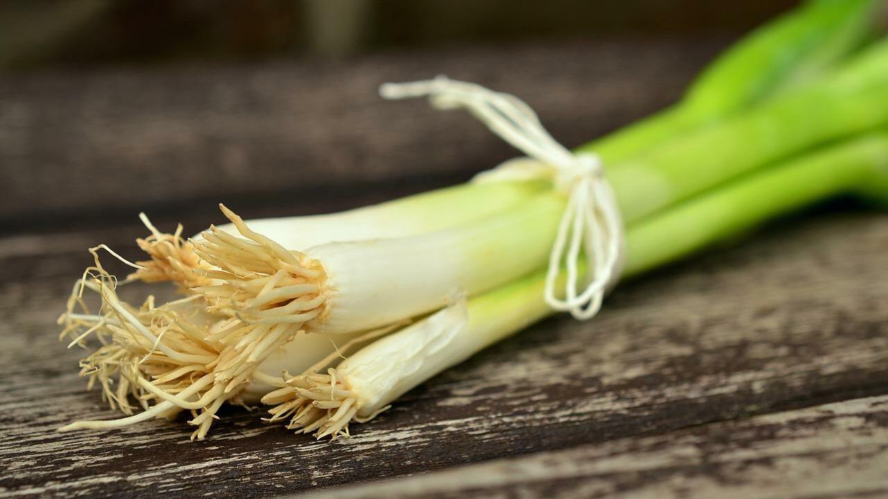 How to Freeze Onions - A Pretty Life In The Suburbs