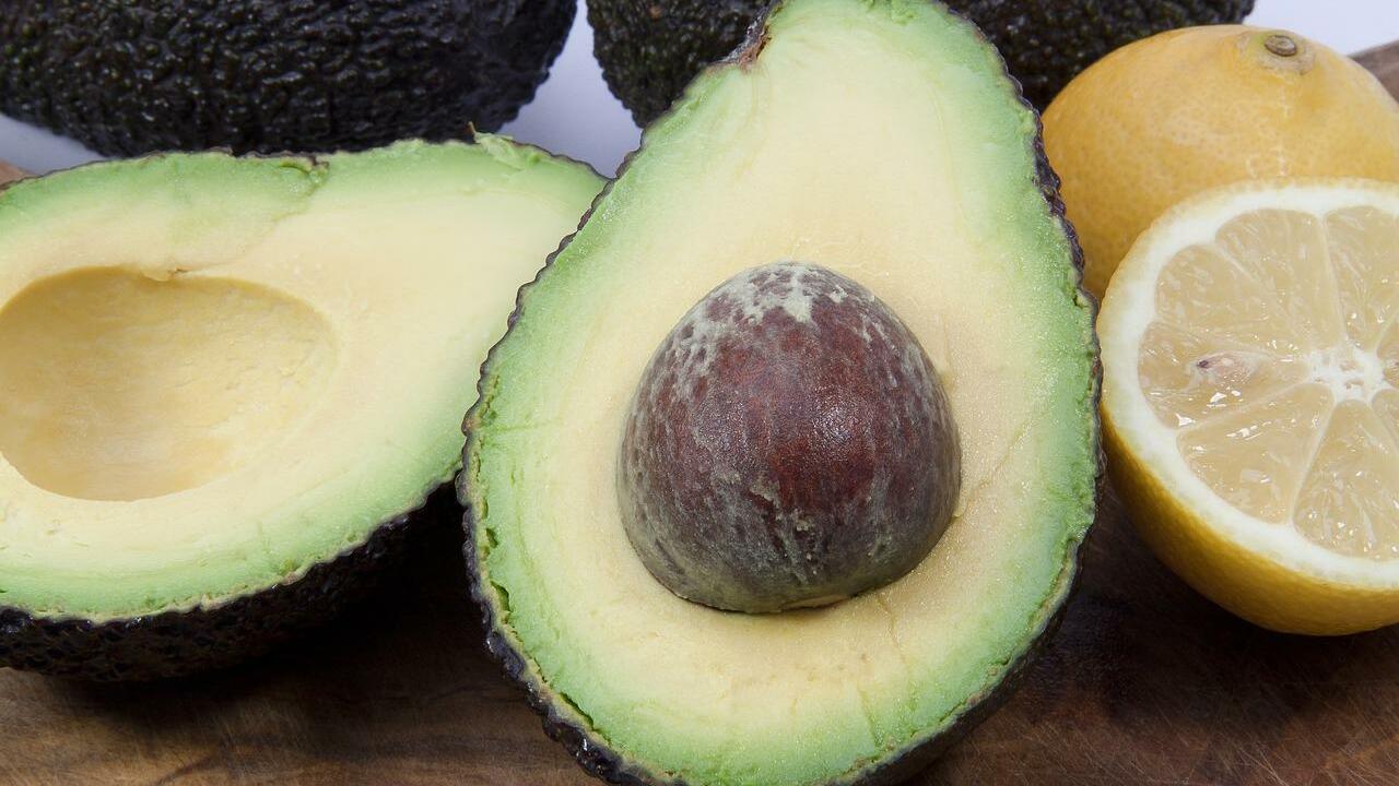 Avocado Oil Salad Dressing 5 Vegan Recipes Utopia