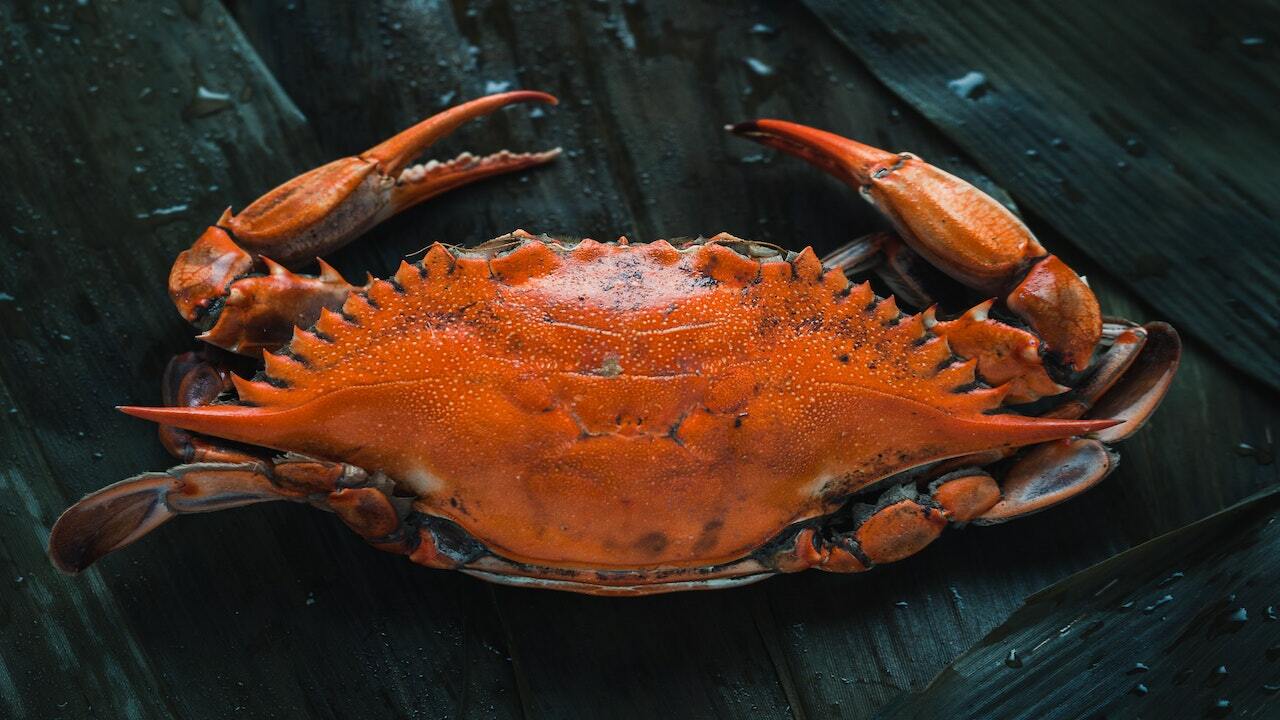 Is Imitation Crab Vegan? No, But There Are Alternatives Utopia
