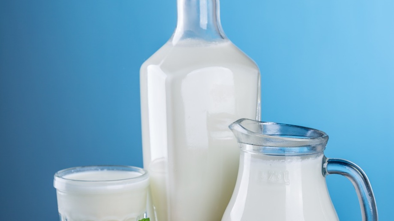 Oat Milk vs. Soy Milk: Which Is Better for You and the Environment ...