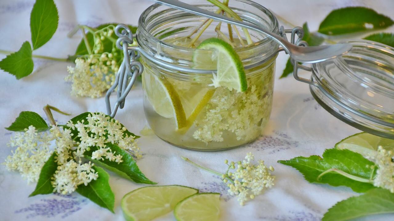 elderflower-cordial-cc0-pixabay-ritae-220601