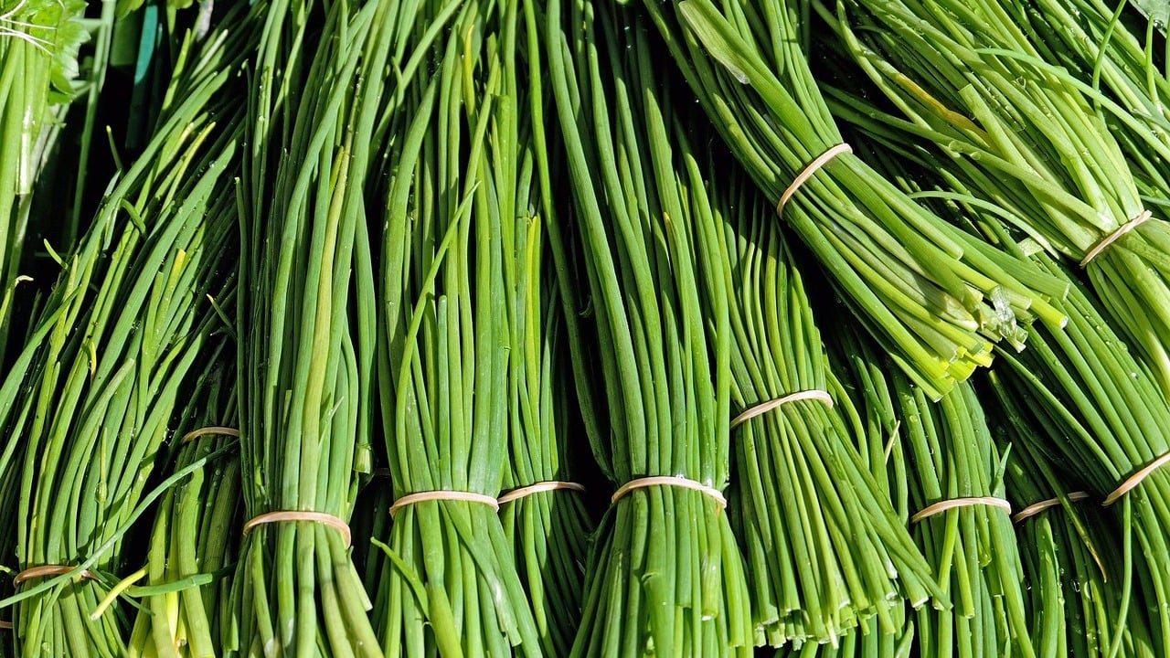 How to Freeze Chives & Preserve Them Utopia