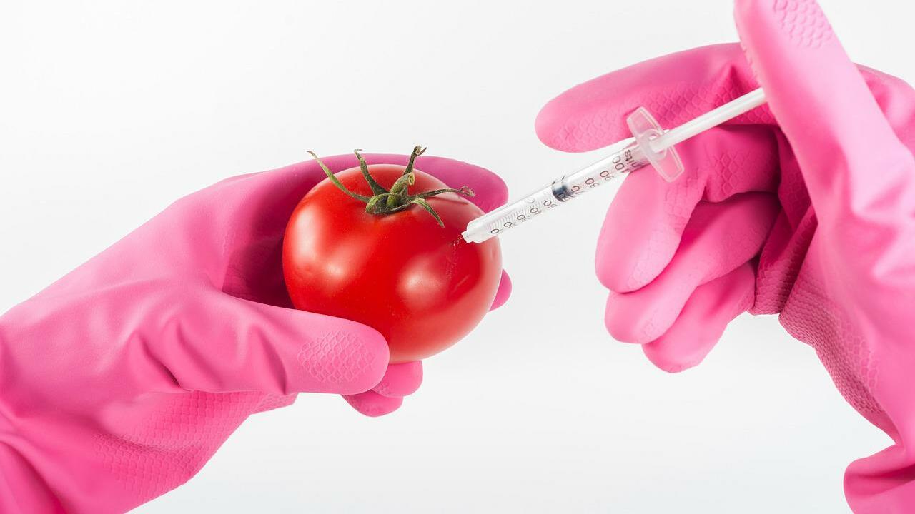 what-does-non-gmo-mean-definition-label-criticism-utopia