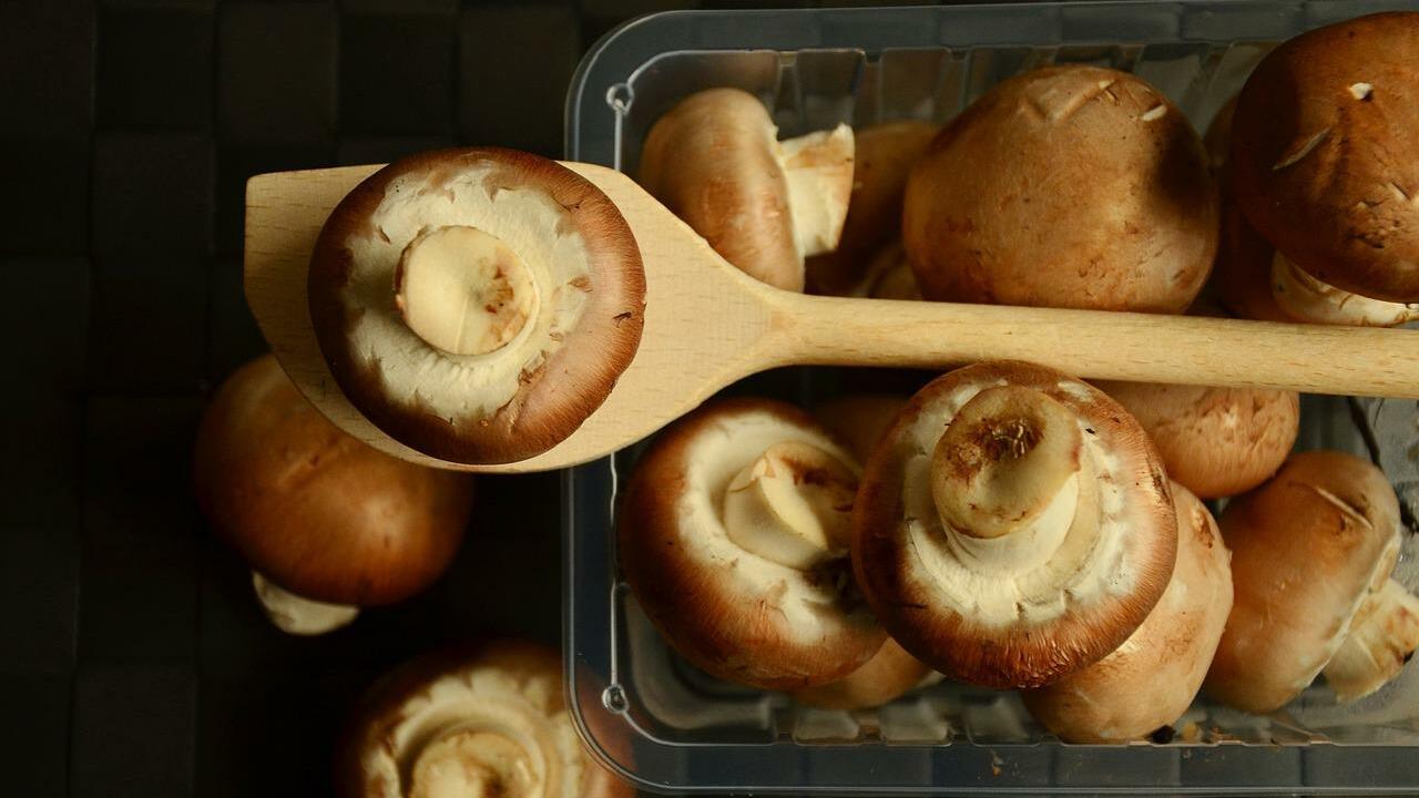 How to Dry Mushrooms in the Oven, Dehydrator, or Naturally - Utopia