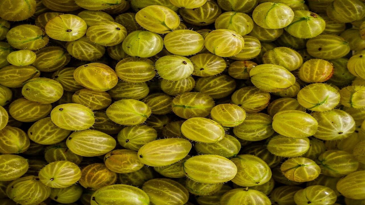Gooseberry Ice Cream Tangy Vegan Recipe Utopia