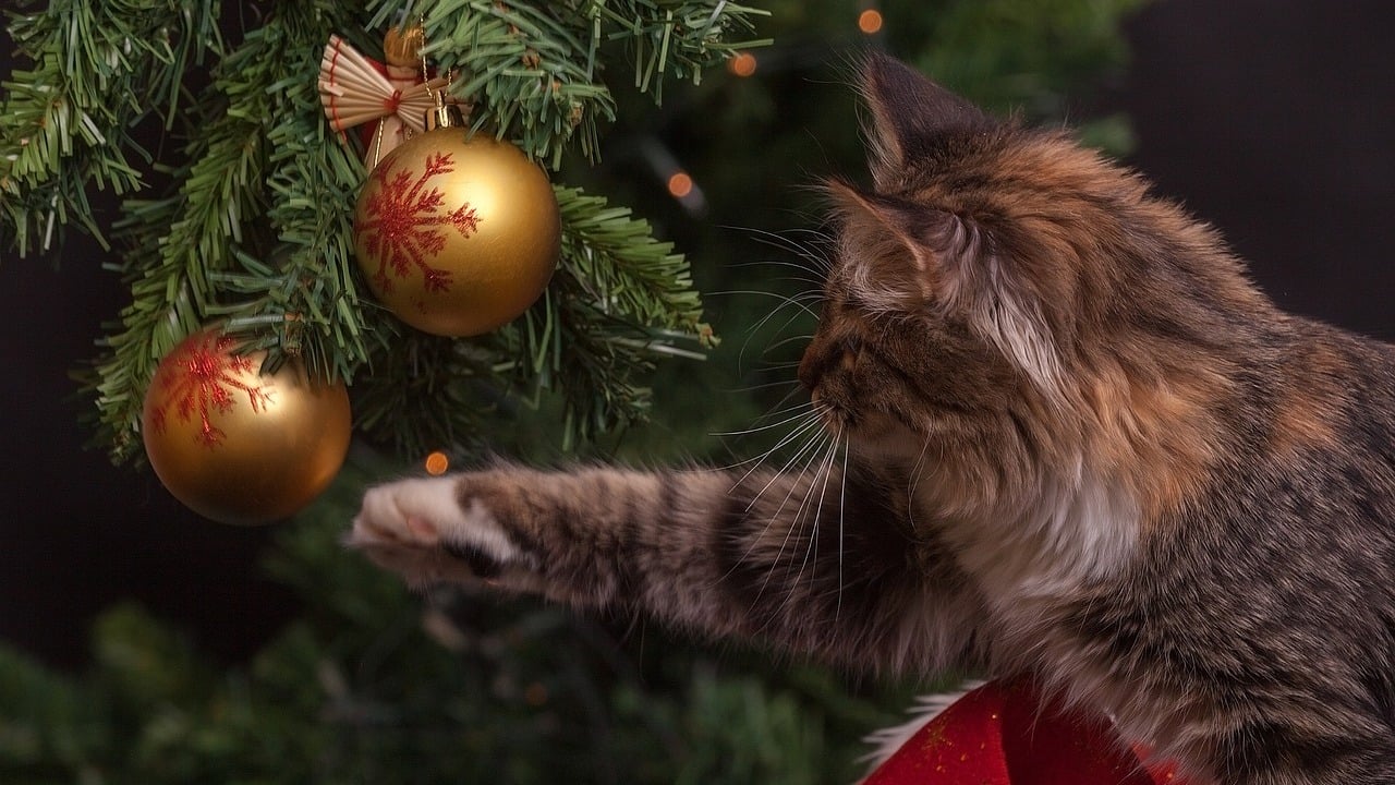 How to Keep Cats Away From the Christmas Tree Utopia