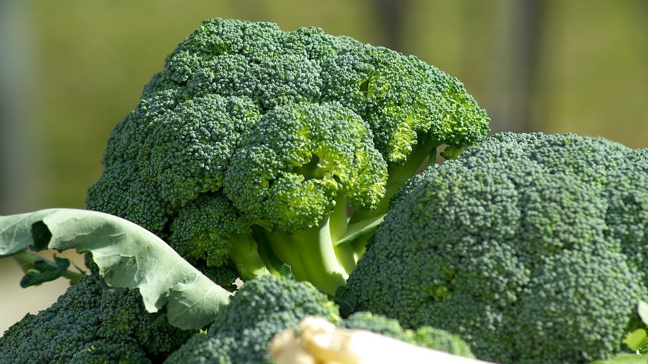 How to Blanch Broccoli (super quick, easy!)