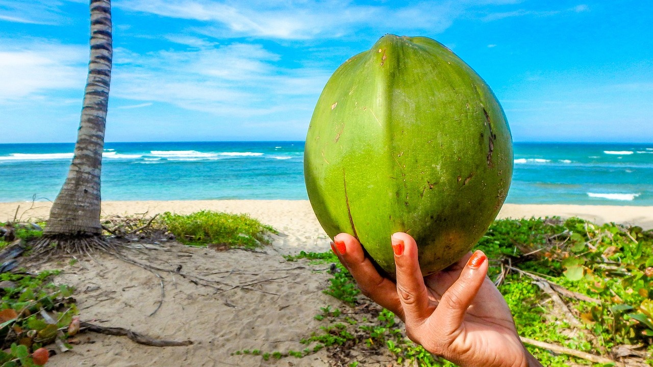 Coconut Water vs. Coconut Milk Tips & Recipes Utopia