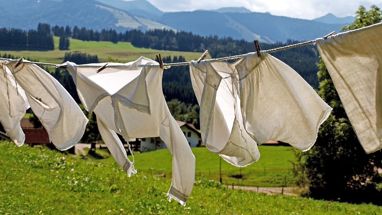 How to Wash Bras and Underwear: Tips for Germ-Free Laundry - Utopia