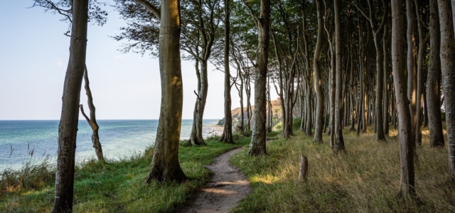 hiking by the beach