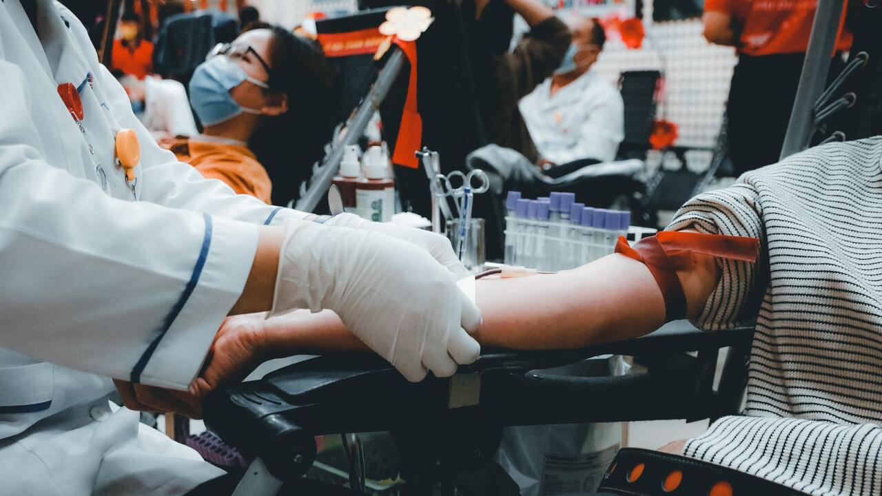 4 Reasons That Can Disqualify You From Donating Plasma - Utopia