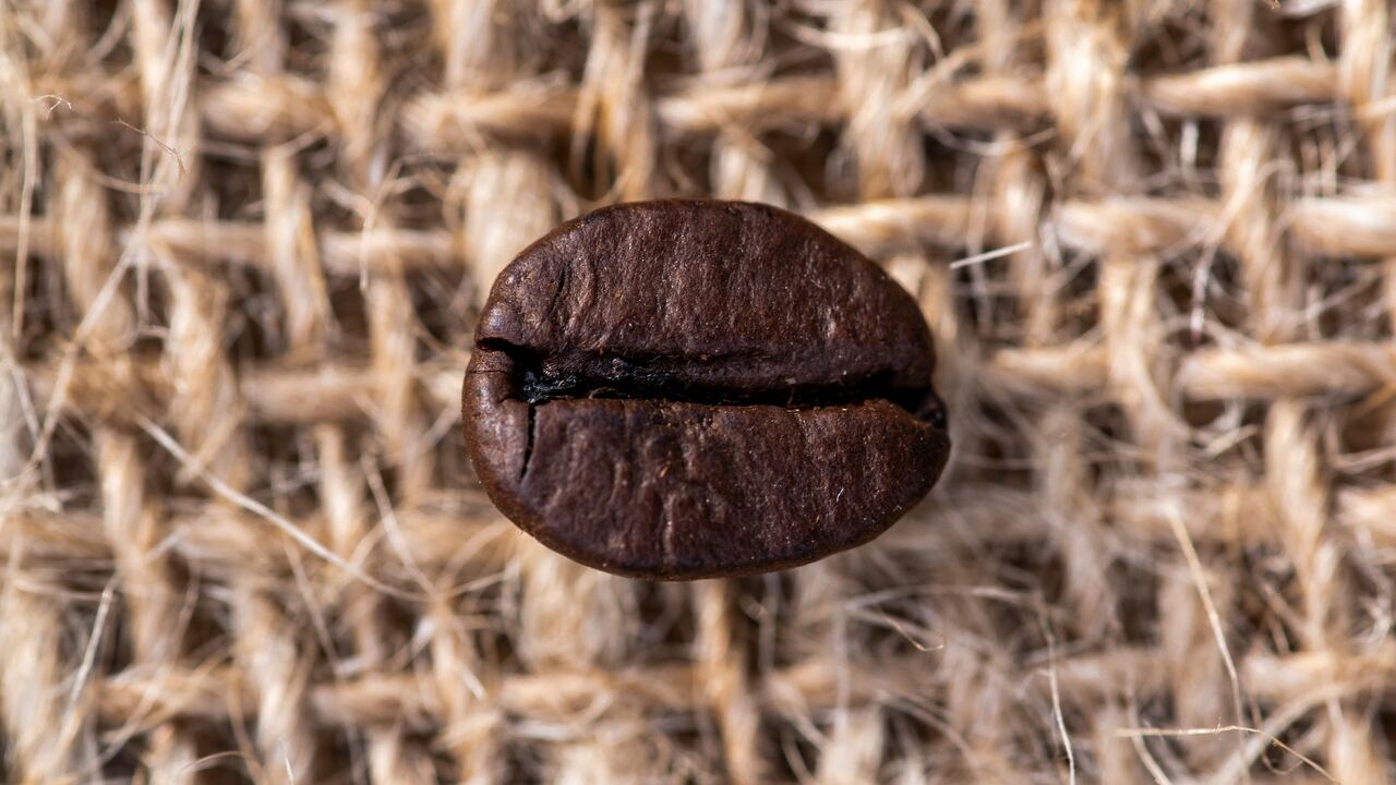 Can You Eat Coffee Beans? Benefits, Limits and Recipes Utopia